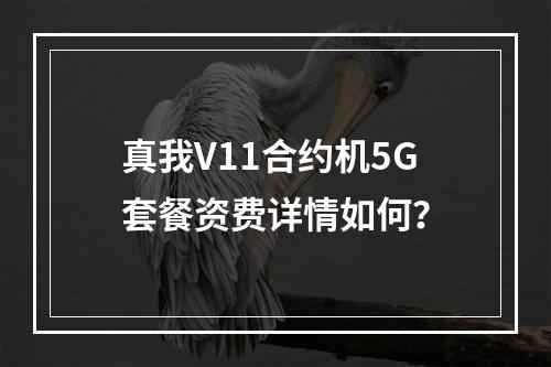 真我V11合约机5G套餐资费详情如何？