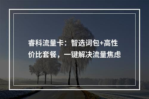 睿科流量卡：智选词包+高性价比套餐，一键解决流量焦虑