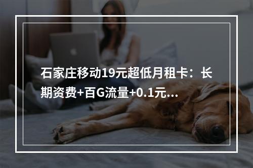 石家庄移动19元超低月租卡：长期资费+百G流量+0.1元-分钟