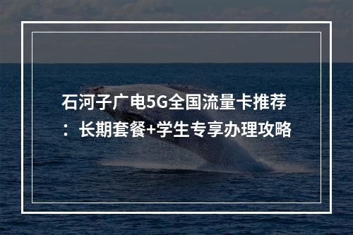 石河子广电5G全国流量卡推荐：长期套餐+学生专享办理攻略