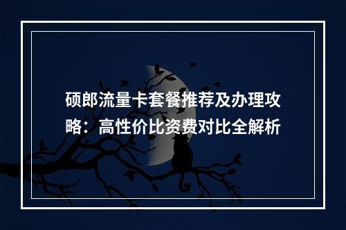 硕郎流量卡套餐推荐及办理攻略：高性价比资费对比全解析