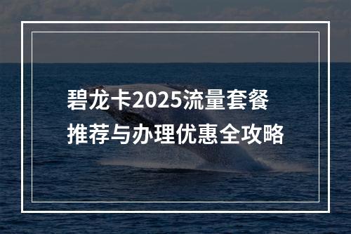碧龙卡2025流量套餐推荐与办理优惠全攻略