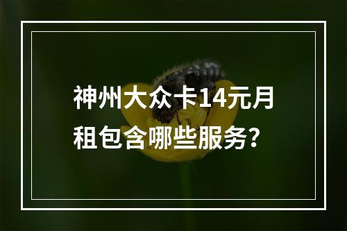 神州大众卡14元月租包含哪些服务？