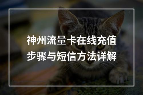 神州流量卡在线充值步骤与短信方法详解