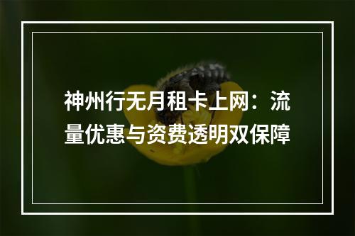 神州行无月租卡上网：流量优惠与资费透明双保障