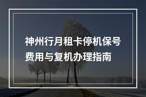 神州行月租卡停机保号费用与复机办理指南
