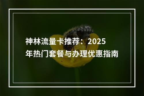 神林流量卡推荐：2025年热门套餐与办理优惠指南