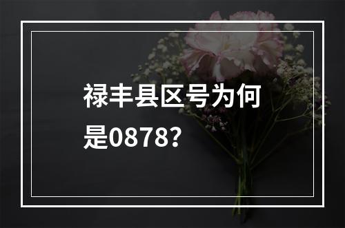 禄丰县区号为何是0878？