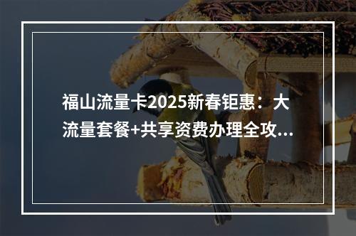 福山流量卡2025新春钜惠：大流量套餐+共享资费办理全攻略
