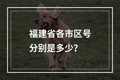 福建省各市区号分别是多少？