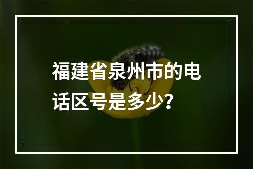 福建省泉州市的电话区号是多少？