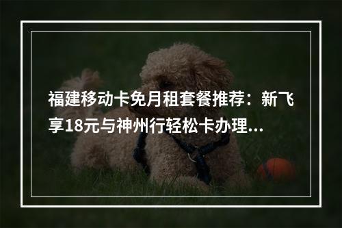 福建移动卡免月租套餐推荐：新飞享18元与神州行轻松卡办理指南
