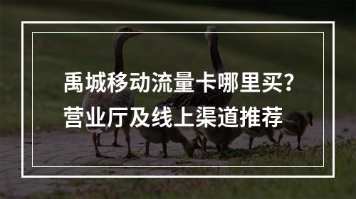 禹城移动流量卡哪里买？营业厅及线上渠道推荐