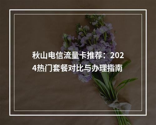 秋山电信流量卡推荐：2024热门套餐对比与办理指南