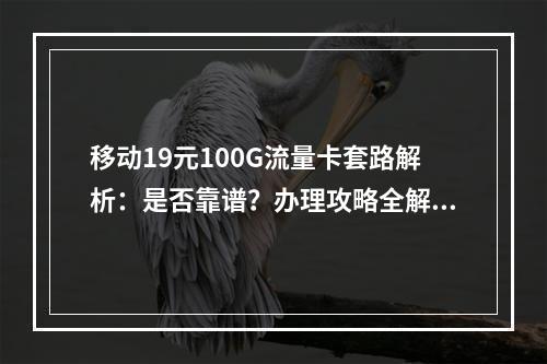移动19元100G流量卡套路解析：是否靠谱？办理攻略全解答
