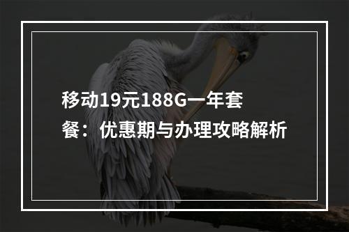 移动19元188G一年套餐：优惠期与办理攻略解析