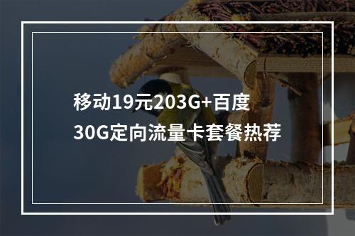移动19元203G+百度30G定向流量卡套餐热荐