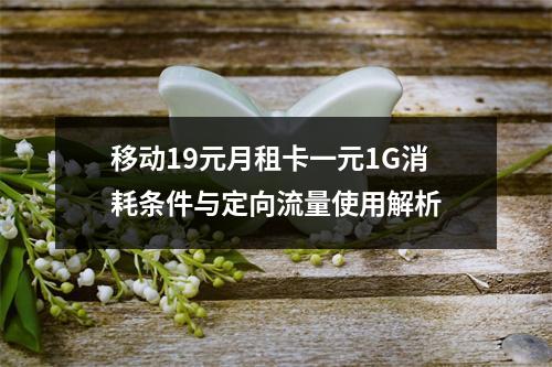 移动19元月租卡一元1G消耗条件与定向流量使用解析