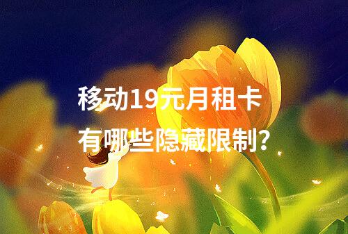 移动19元月租卡有哪些隐藏限制？