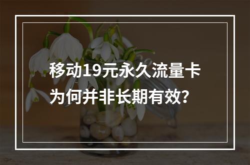 移动19元永久流量卡为何并非长期有效？
