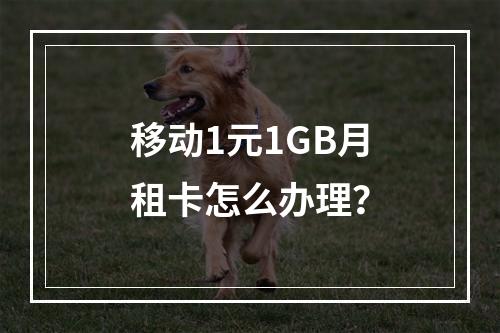 移动1元1GB月租卡怎么办理？