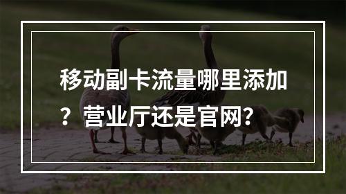 移动副卡流量哪里添加？营业厅还是官网？