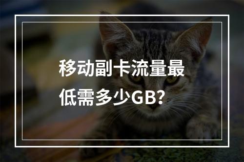 移动副卡流量最低需多少GB？