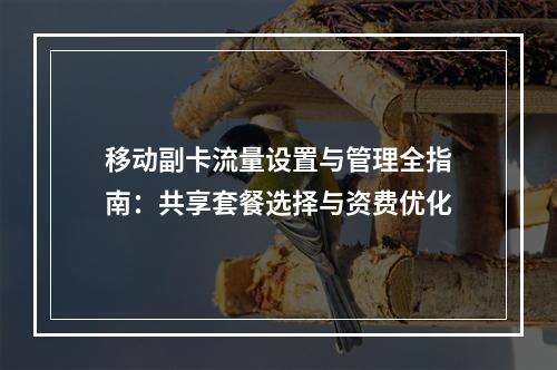 移动副卡流量设置与管理全指南：共享套餐选择与资费优化