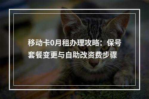 移动卡0月租办理攻略：保号套餐变更与自助改资费步骤