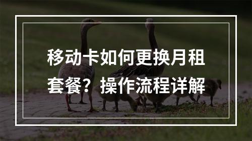 移动卡如何更换月租套餐？操作流程详解