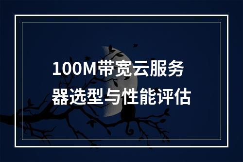 100M带宽云服务器选型与性能评估