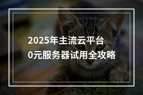 2025年主流云平台0元服务器试用全攻略