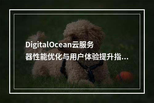 DigitalOcean云服务器性能优化与用户体验提升指南