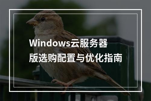 Windows云服务器版选购配置与优化指南