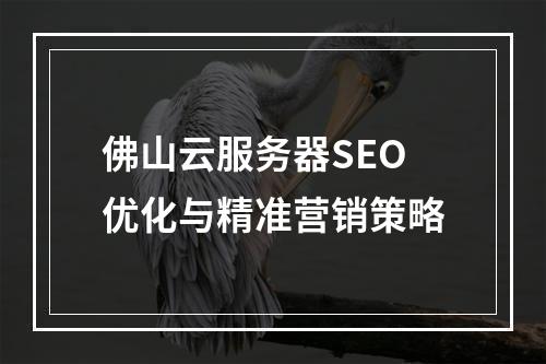 佛山云服务器SEO优化与精准营销策略
