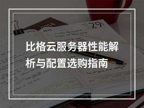 比格云服务器性能解析与配置选购指南