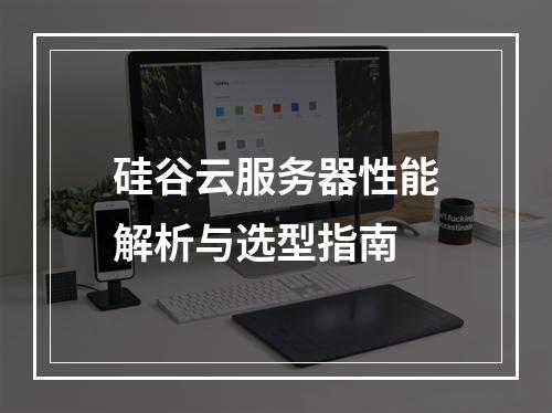 硅谷云服务器性能解析与选型指南
