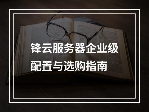 锋云服务器企业级配置与选购指南