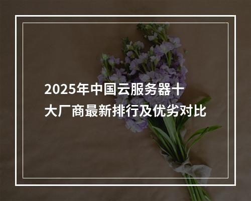 2025年中国云服务器十大厂商最新排行及优劣对比