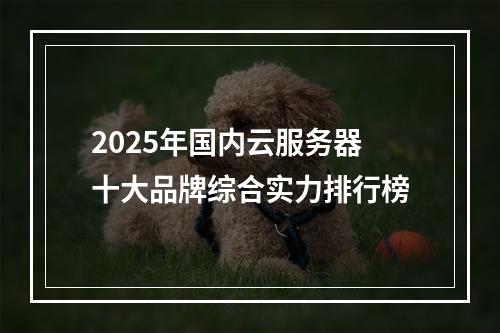 2025年国内云服务器十大品牌综合实力排行榜