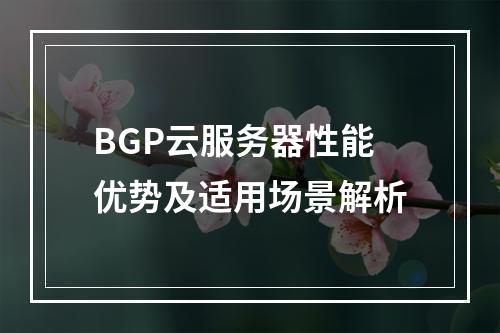 BGP云服务器性能优势及适用场景解析