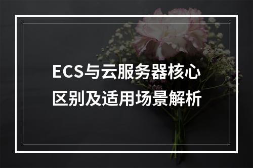 ECS与云服务器核心区别及适用场景解析