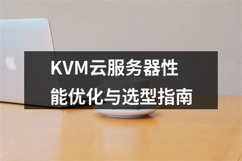 KVM云服务器性能优化与选型指南