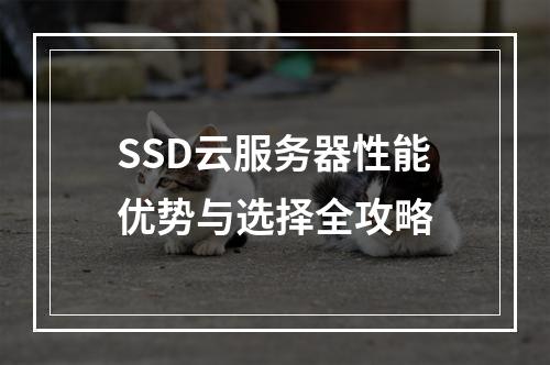 SSD云服务器性能优势与选择全攻略