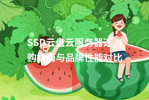 SSD云盘云服务器选购指南与品牌性能对比