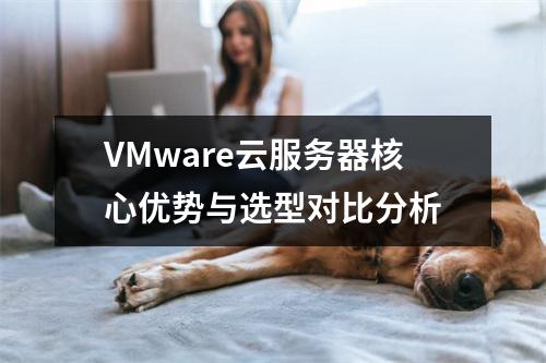 VMware云服务器核心优势与选型对比分析