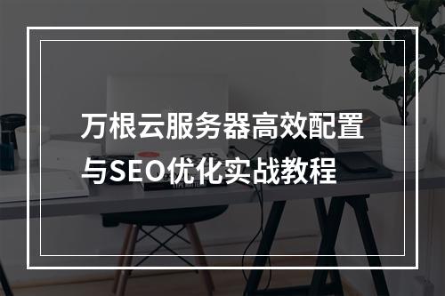 万根云服务器高效配置与SEO优化实战教程