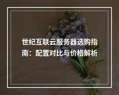 世纪互联云服务器选购指南：配置对比与价格解析