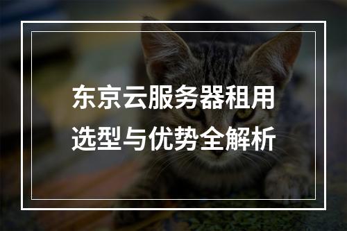 东京云服务器租用选型与优势全解析