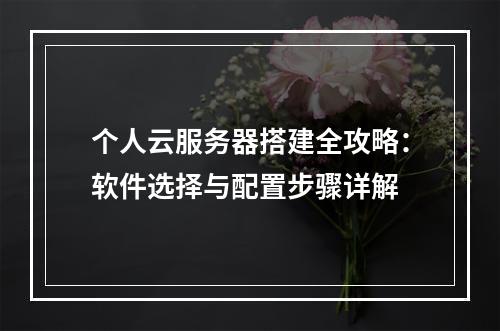 个人云服务器搭建全攻略：软件选择与配置步骤详解
